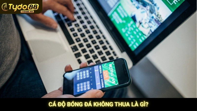 Mẹo cá độ bóng đá bất bại | Giảm rủi ro, tăng tỷ lệ thắng 2 Cá độ bóng đá không thua là gì?