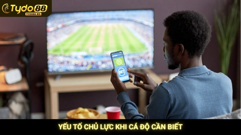 Mẹo cá độ bóng đá bất bại | Giảm rủi ro, tăng tỷ lệ thắng 3 Yếu tố chủ lực khi cá độ cần biết