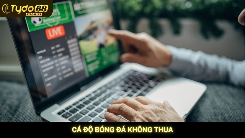 Mẹo cá độ bóng đá bất bại | Giảm rủi ro, tăng tỷ lệ thắng 1 Cá độ bóng đá không thua