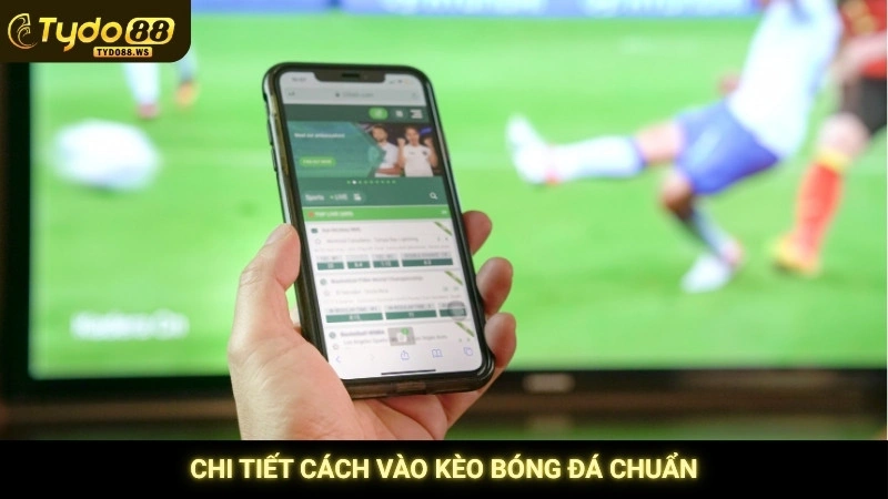 Cách vào kèo bóng đá chuẩn - Hướng dẫn từ A-Z cho lính mới 4 Chi tiết cách vào kèo bóng đá chuẩn