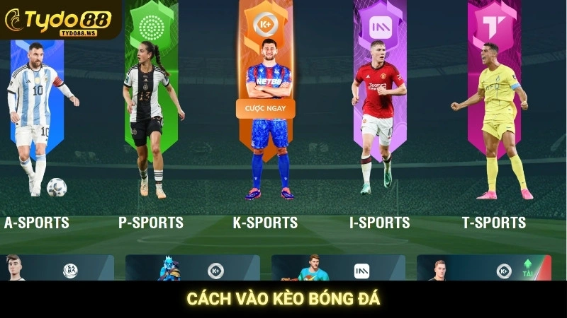 Cách vào kèo bóng đá chuẩn - Hướng dẫn từ A-Z cho lính mới 1 Cách Vào Kèo Bóng Đá Tydo88