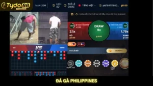 Đá Gà Philippines Tydo88