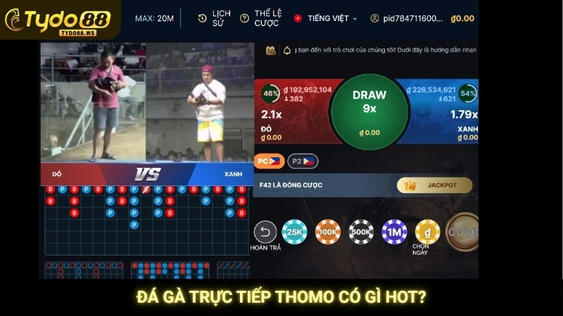 Đá gà Thomo trực tiếp hôm nay | Link xem nét tại Tydo88 2 Đá gà trực tiếp Thomo có gì hot?