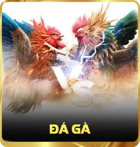Đá gà trực tiếp Tydo88