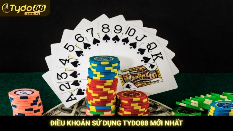 Điều khoản sử dụng Tydo88 - Rõ ràng & minh bạch 1 Điều khoản sử dụng Tydo88 mới nhất