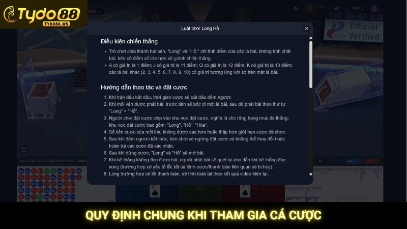 Rồng hổ online - Luật chơi đơn giản, thắng thua trong 30s 3 Quy định chung khi tham gia cá cược