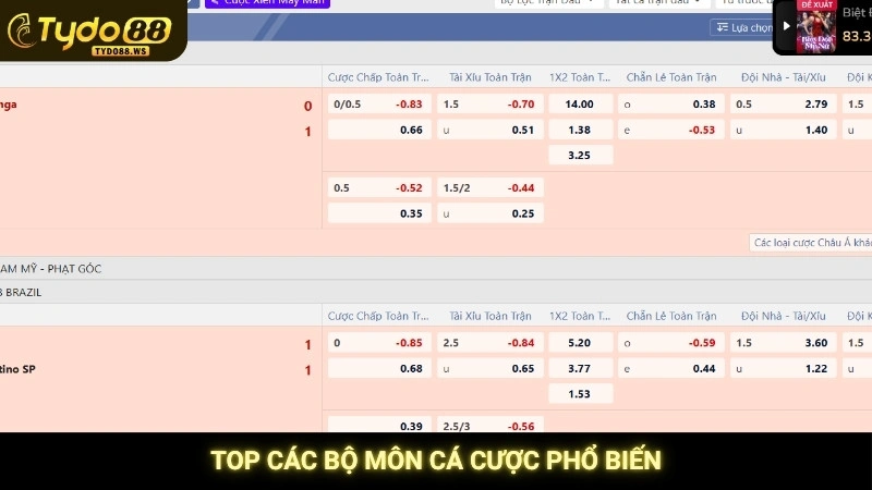 Top các bộ môn cá cược phổ biến