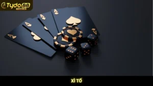 Xì Tố Tydo88