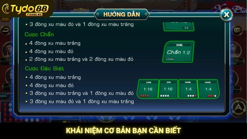 Khái niệm cơ bản bạn cần biết