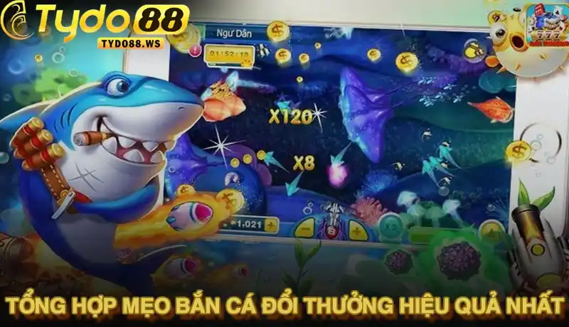 Hướng dẫn mẹo bắn cá đổi thưởng Tydo88 chi tiết từ cao thủ 2025 3 Tổng hợp mẹo bắn cá đổi thưởng hiệu quả nhất